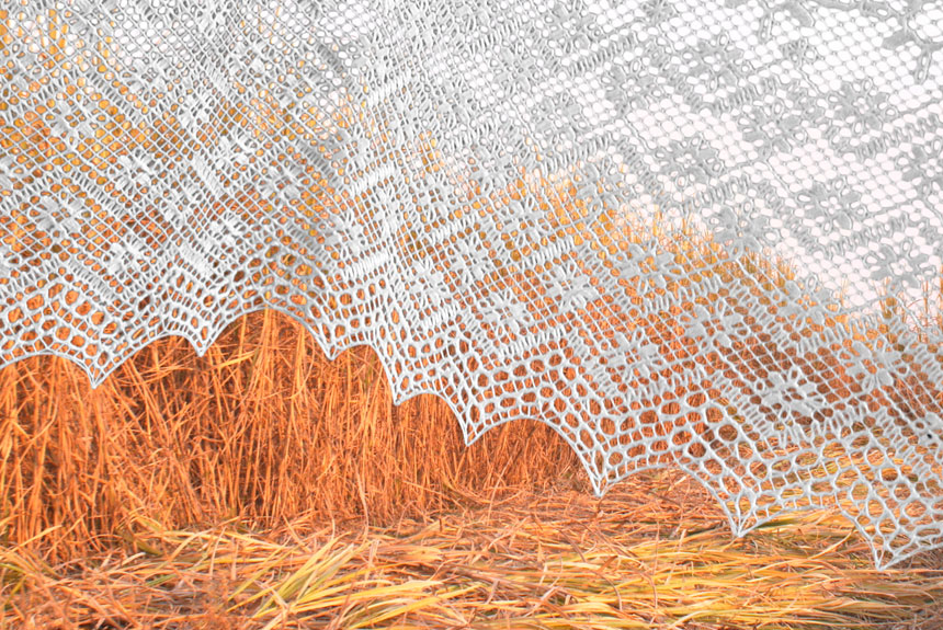 Textil sobre paisaje de cañaveral