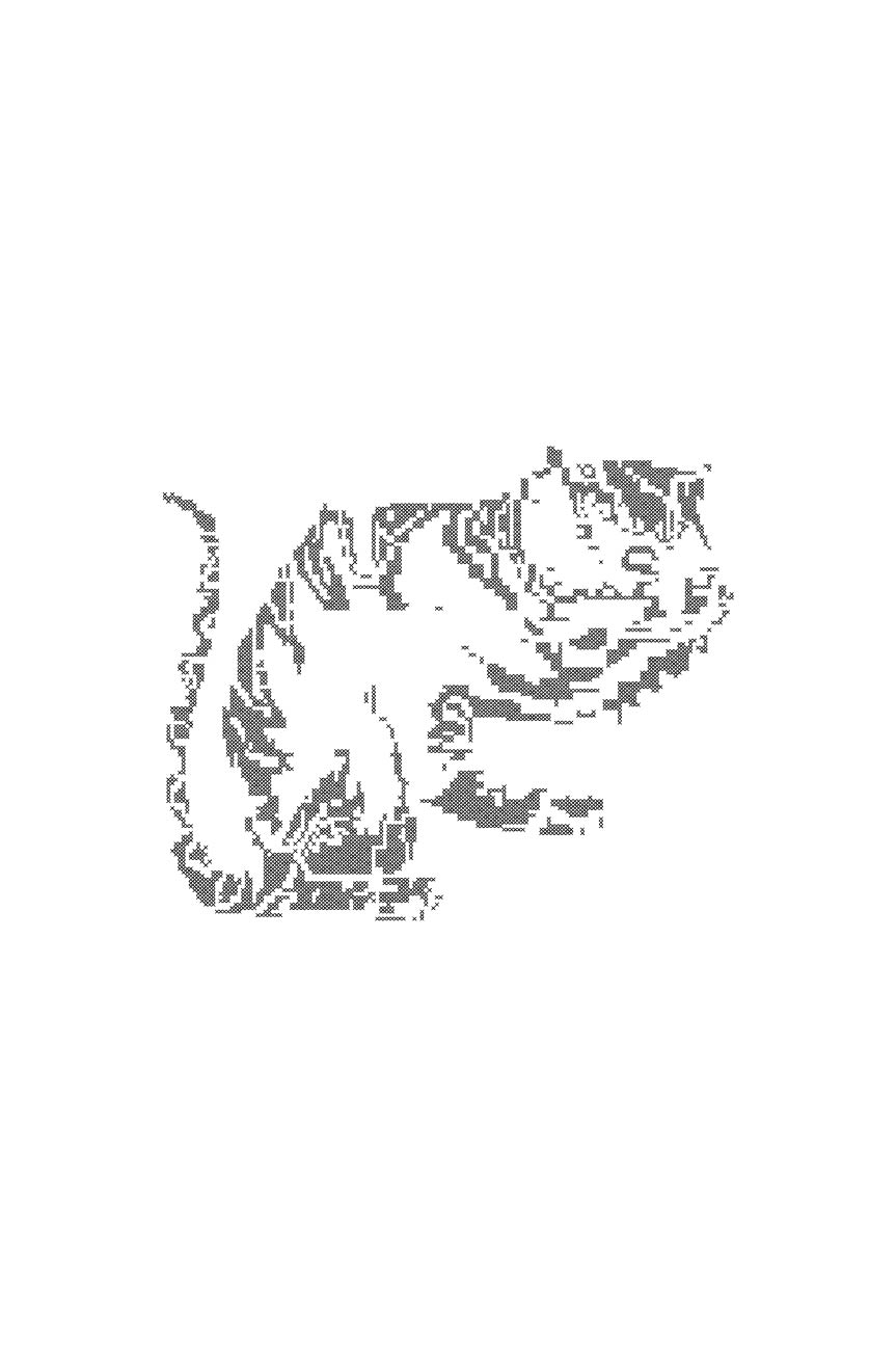 Patrón con dibujo de gato